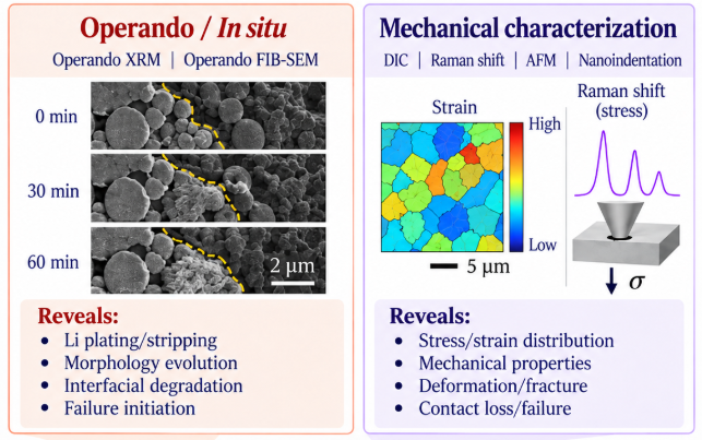 Graphical abstract for Electro-Chemo-Mechanical Coupling in All-Solid-State Lithium Metal Batteries